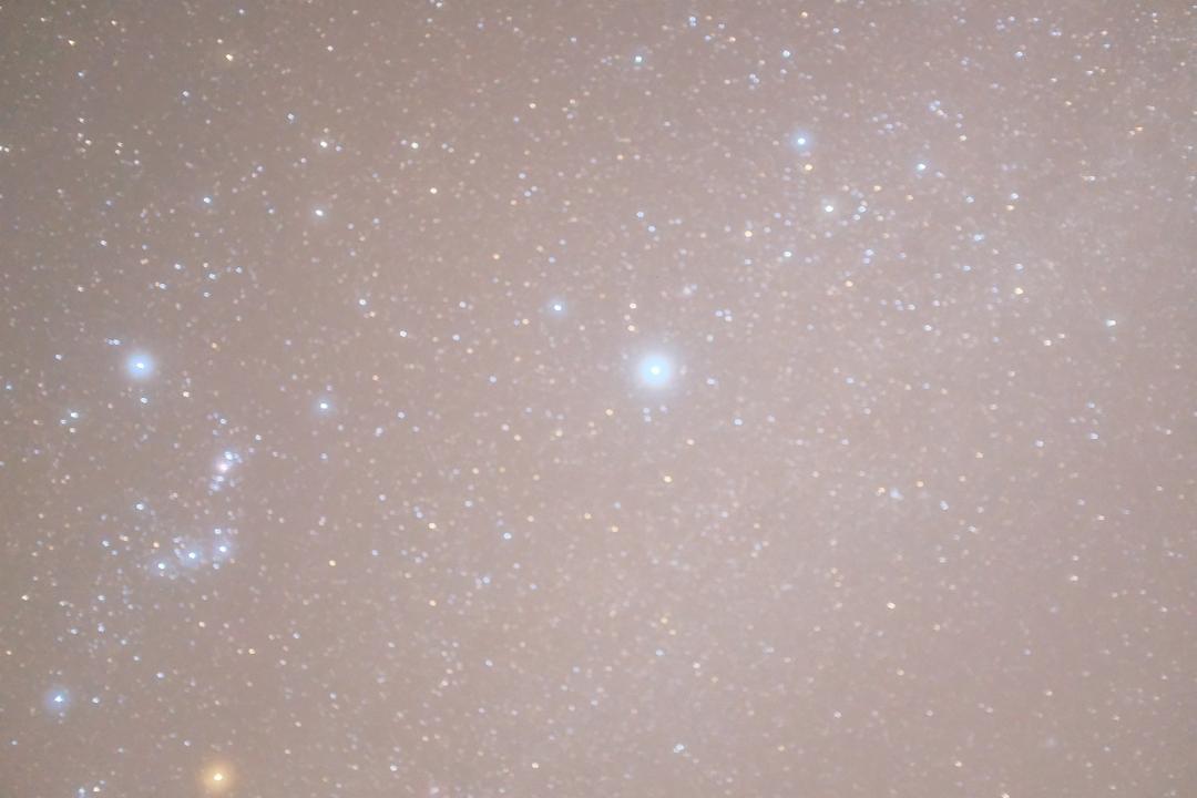 夜空下的树
AI 生成的内容可能不正确。