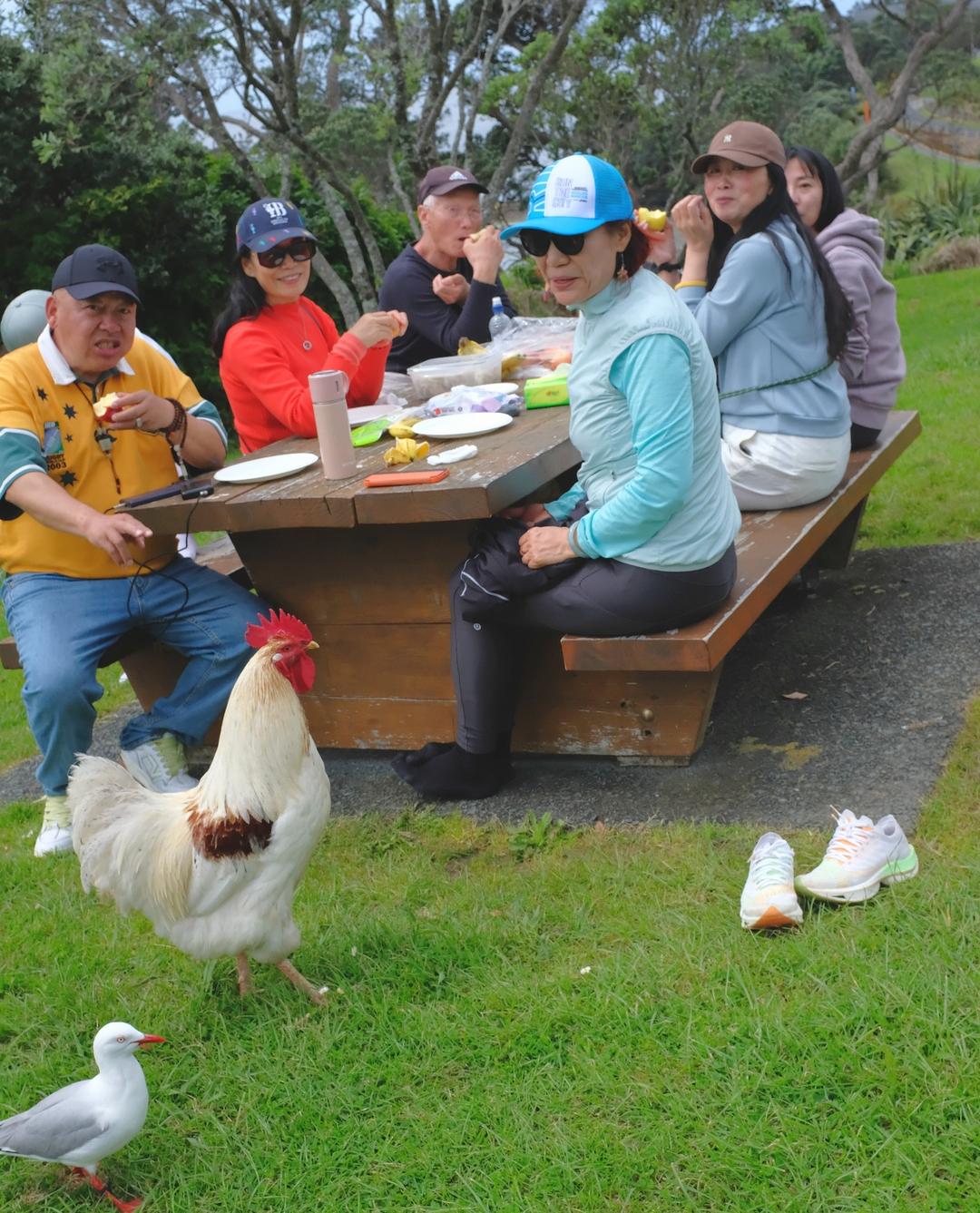 一群鸟在吃地上的人
AI 生成的内容可能不正确。