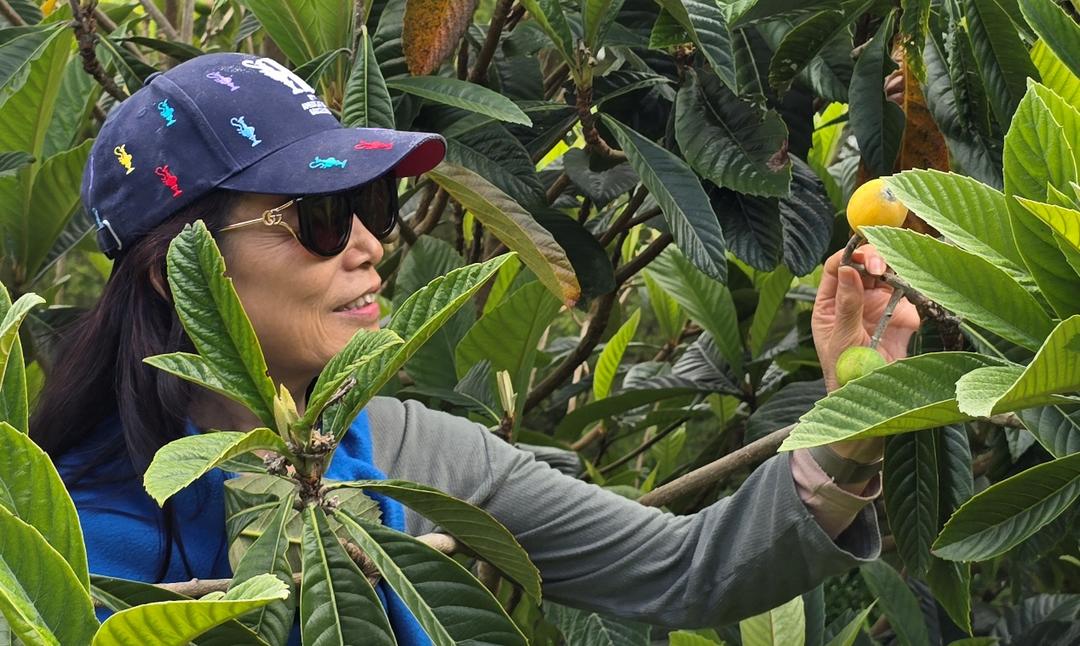 香蕉树上的叶子
AI 生成的内容可能不正确。