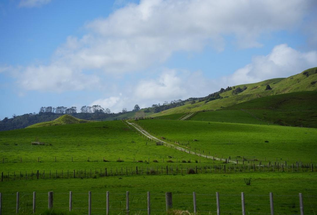 山上的草地上吃草
AI 生成的内容可能不正确。