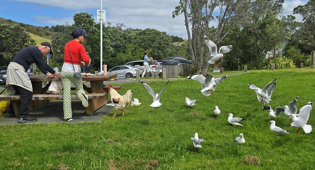 一群人站在草地上的鸟
AI 生成的内容可能不正确。