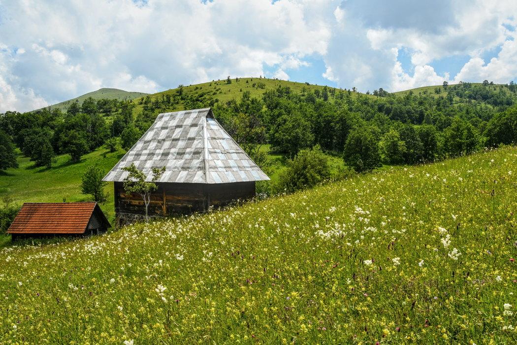 兹拉蒂博尔成为2025年前八个月塞尔维亚最受欢迎旅游目的地