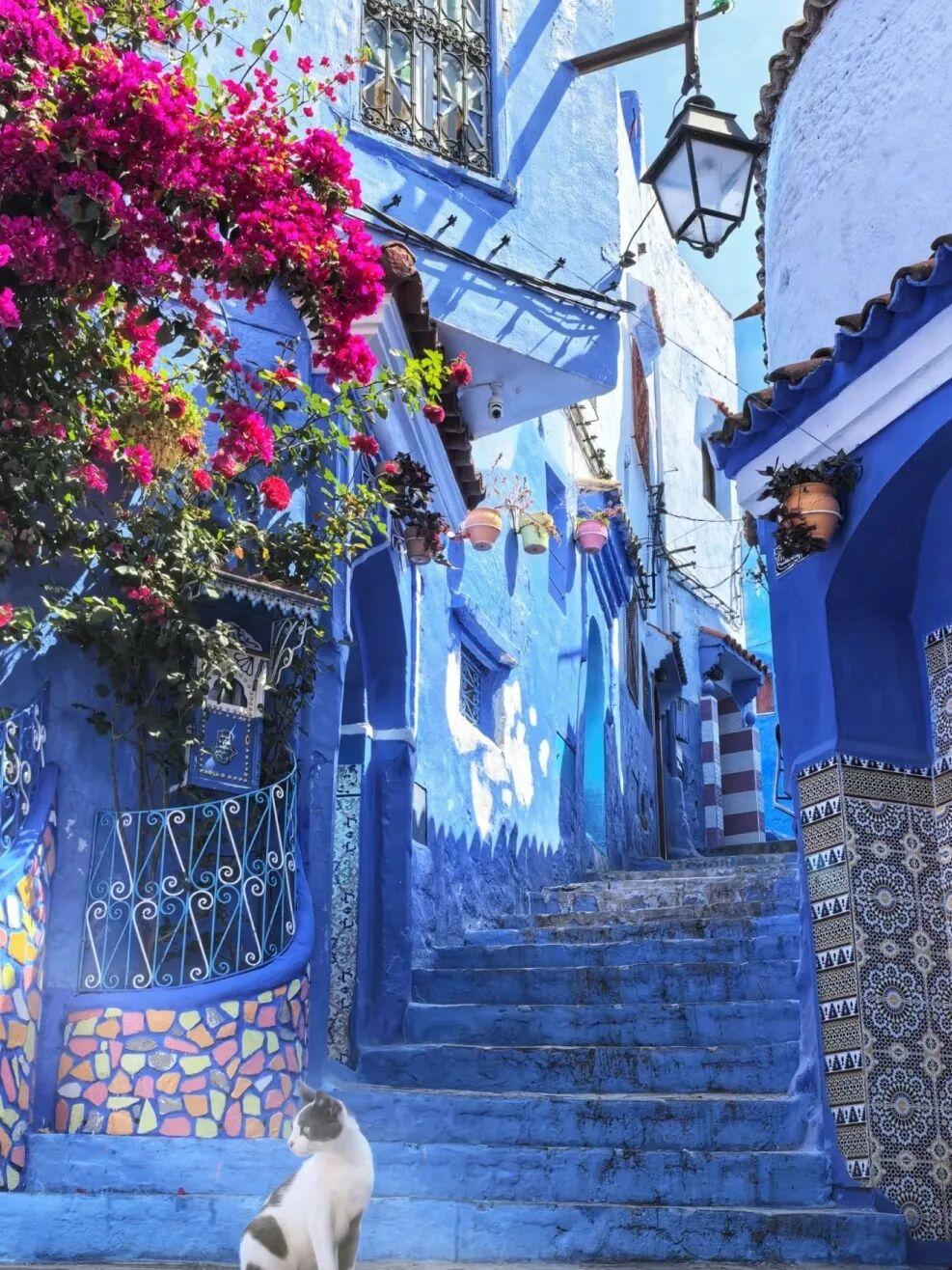 从“高定秀场”到舌尖盛宴，在摩洛哥拉巴特狠狠出片，化身北非风情的时尚icon_厄瓜多尔_新闻_华人头条