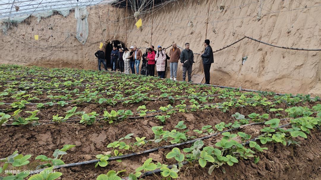 新世纪诗人佳县朱官寨采风