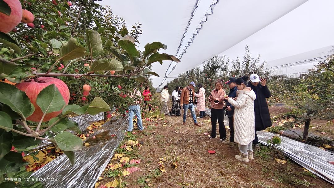 新世纪诗人佳县朱官寨采风
