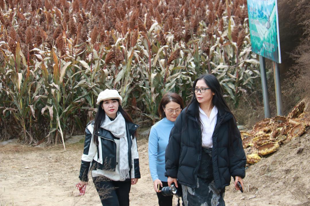 新世纪诗人佳县朱官寨采风