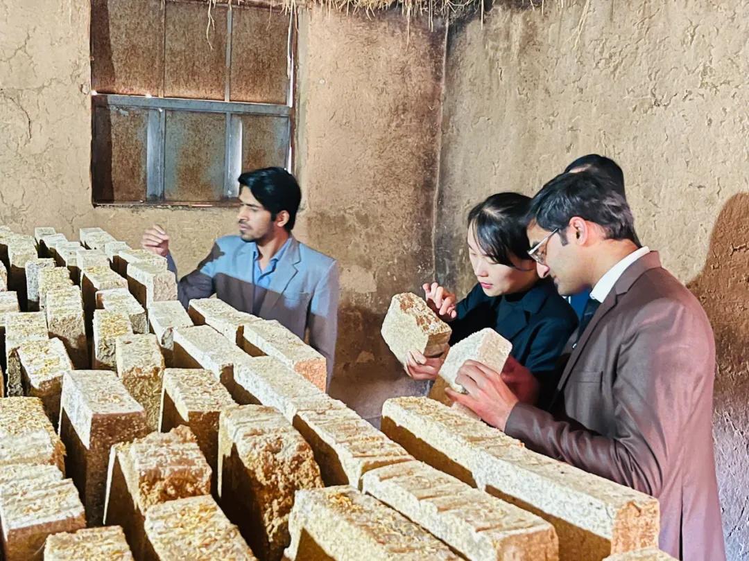 巴基斯坦友人访陕 品鉴<a href=https://www.shidiannet.com/zt/shaanxi/ target=_blank class=infotextkey>陕西</a>白水杜康共架友谊桥梁