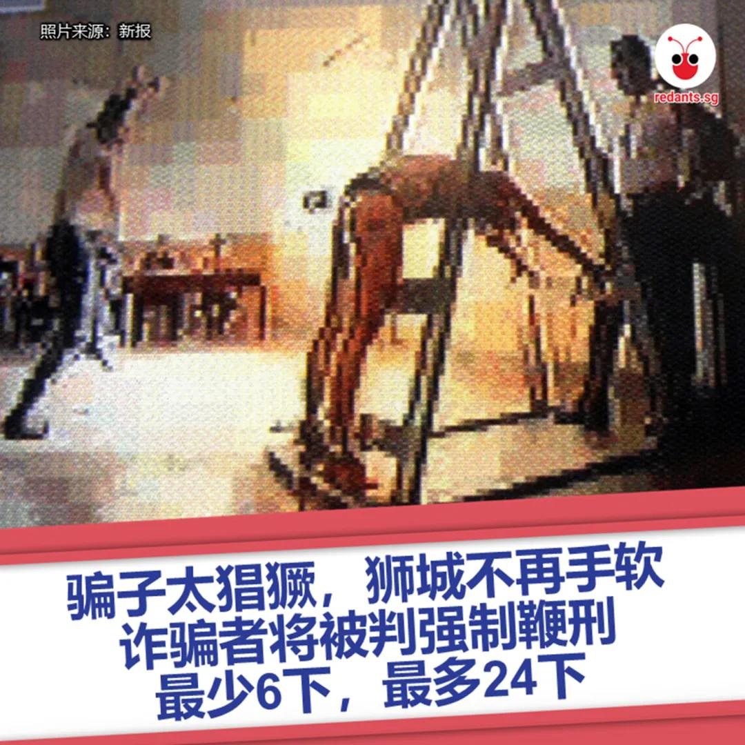 骗子太猖獗新加坡不再手软诈骗者一旦落网定罪将强制鞭刑_南岛_新闻_华人头条