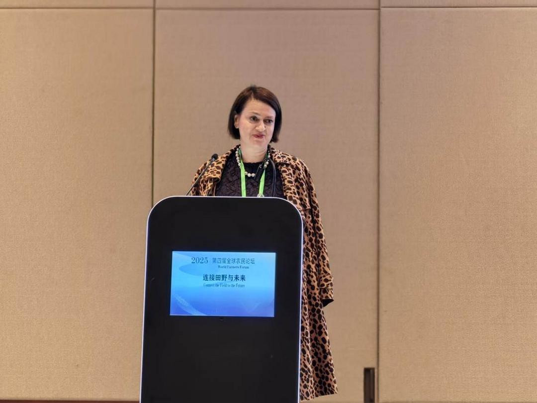 微信图片_20251108073406_73_178