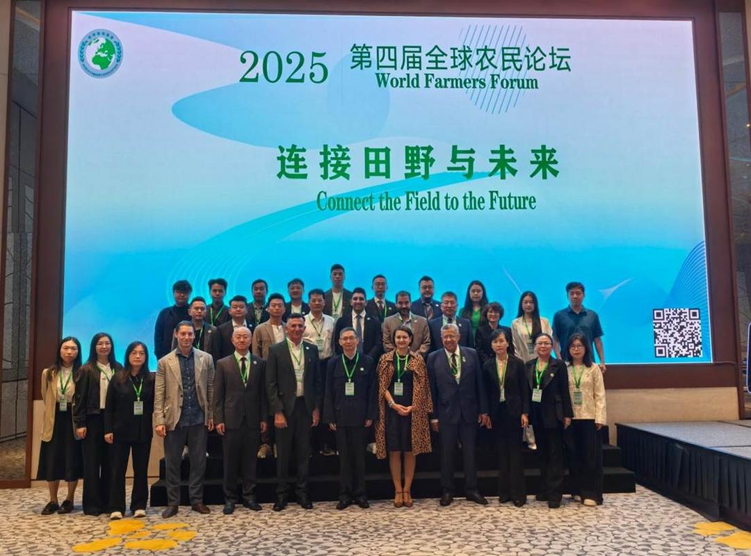 微信图片_20251108073238_71_178