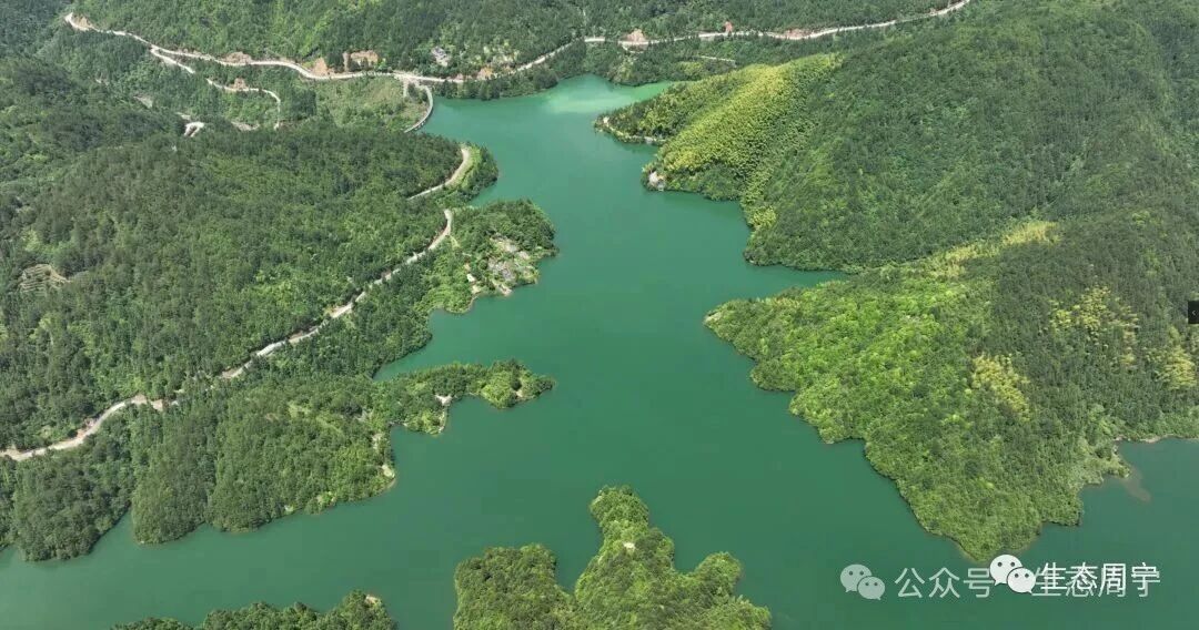 权威媒体看周宁