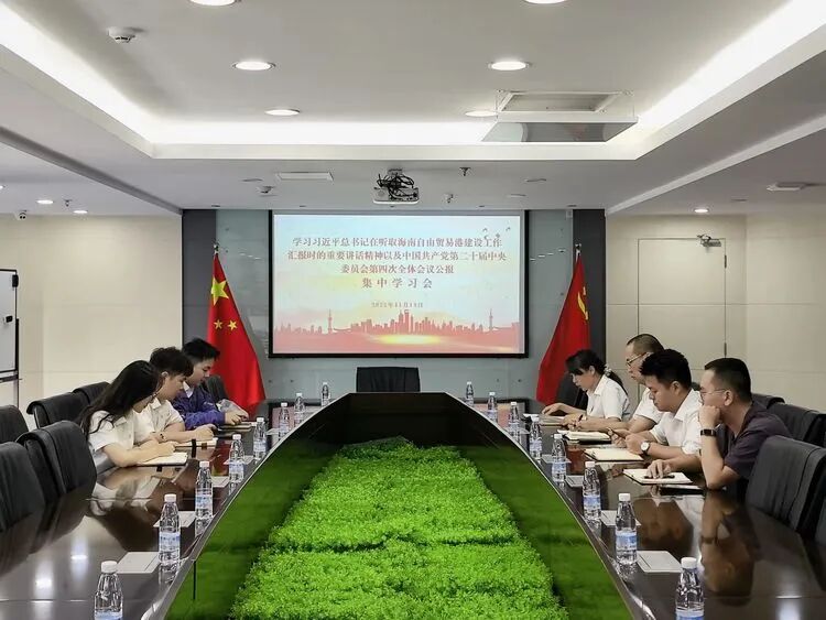 海南万泰公司党支部召开学习贯彻习近平总书记重要讲话和党的二十届四中全会精神集中学习活动