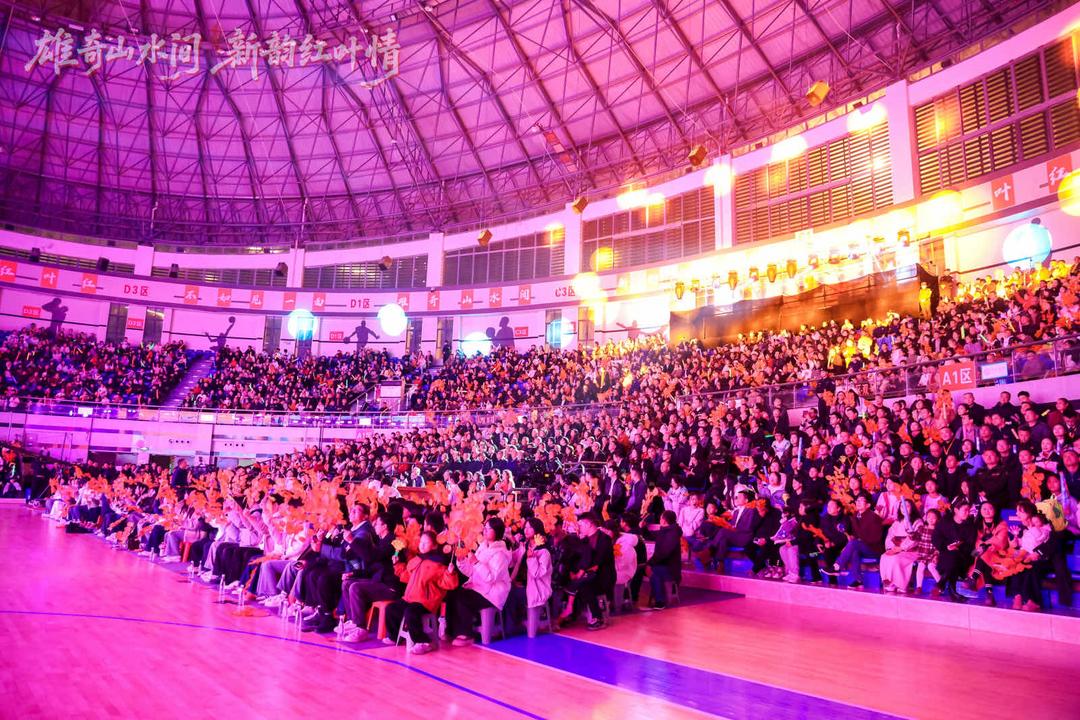 图片[8]-“雄奇山水间・新韵红叶情” 第十九届重庆（巫山）红叶节开幕-华闻时空