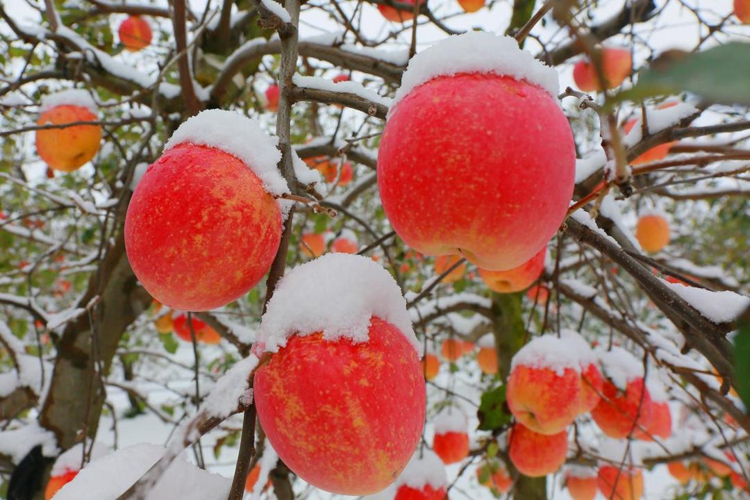 微信图片_20251120103005