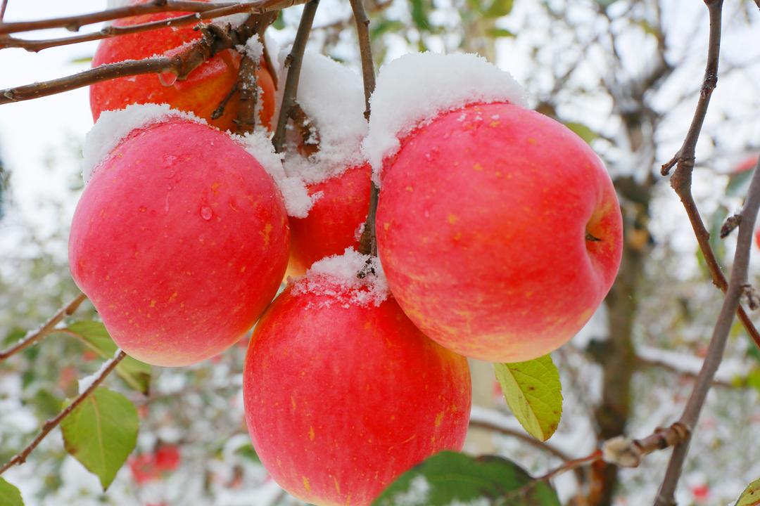 微信图片_20251120102944