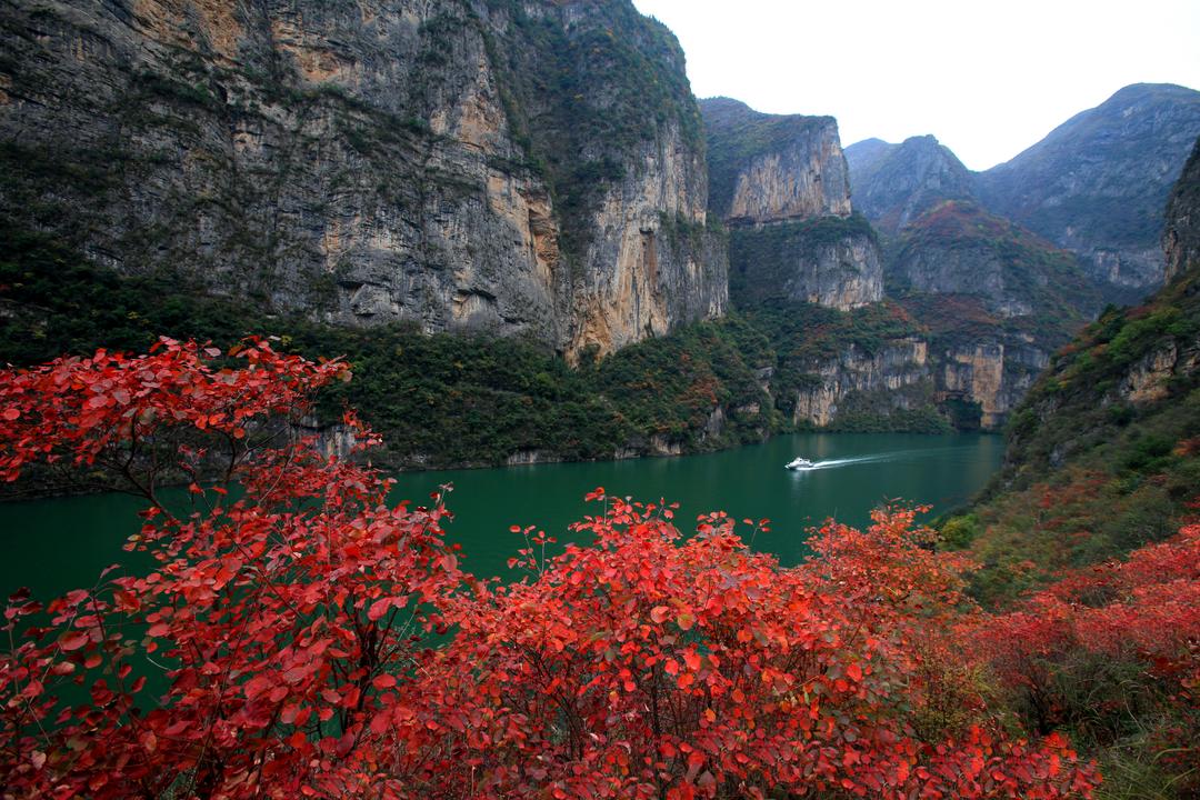 图片[5]-“追夢中華·新韻重慶”海外華媒重慶行 共同見證璀璨“三峽之光”-华闻时空