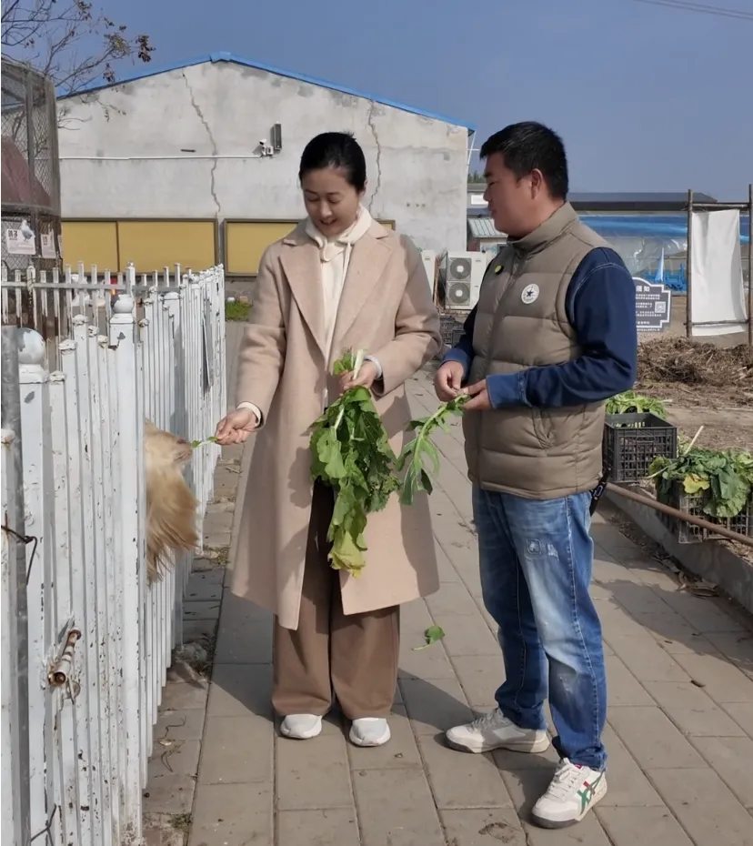 家门口就能掰甘蔗 这波甜蜜必须冲