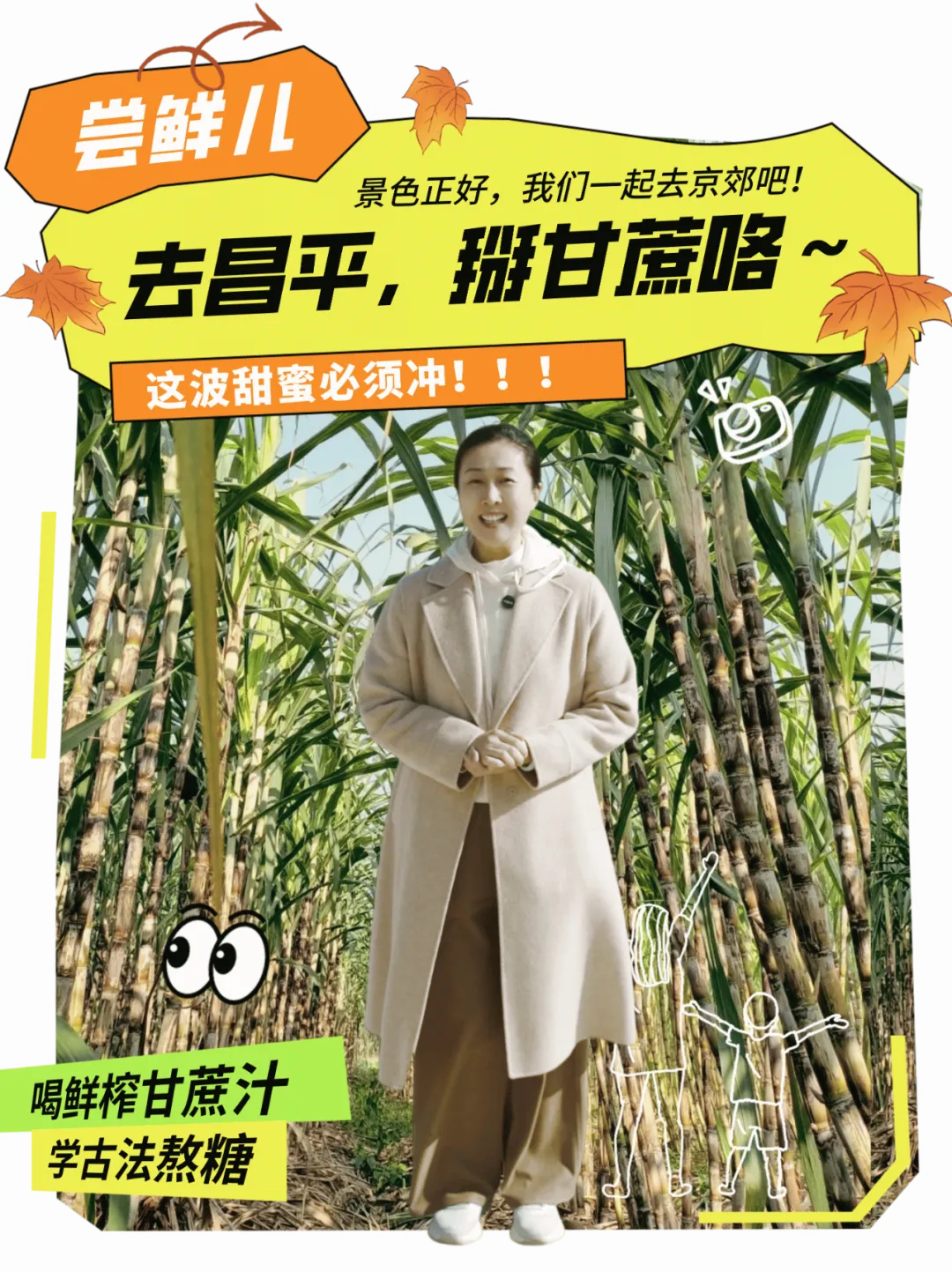 家门口就能掰甘蔗 这波甜蜜必须冲