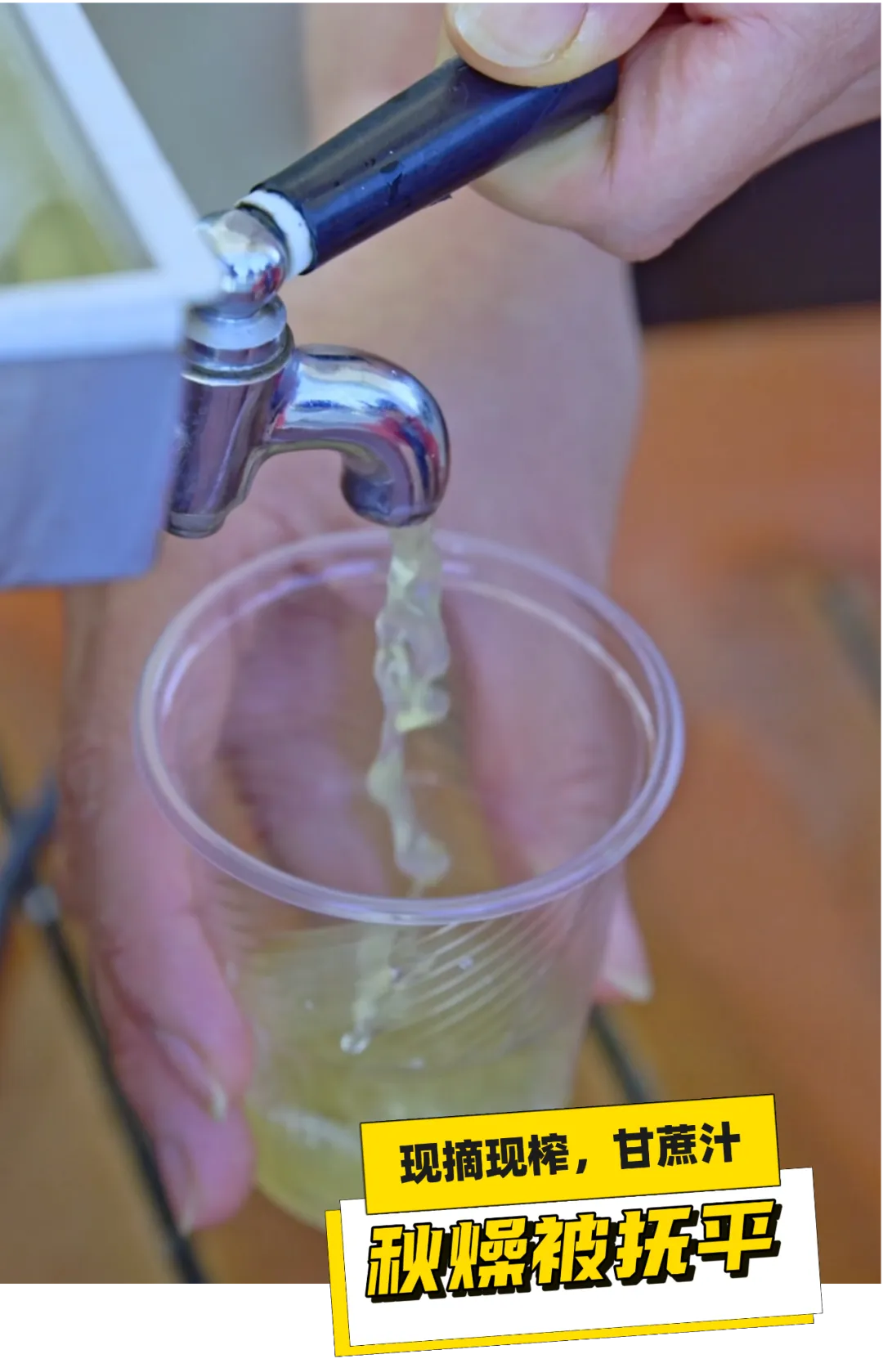 家门口就能掰甘蔗 这波甜蜜必须冲