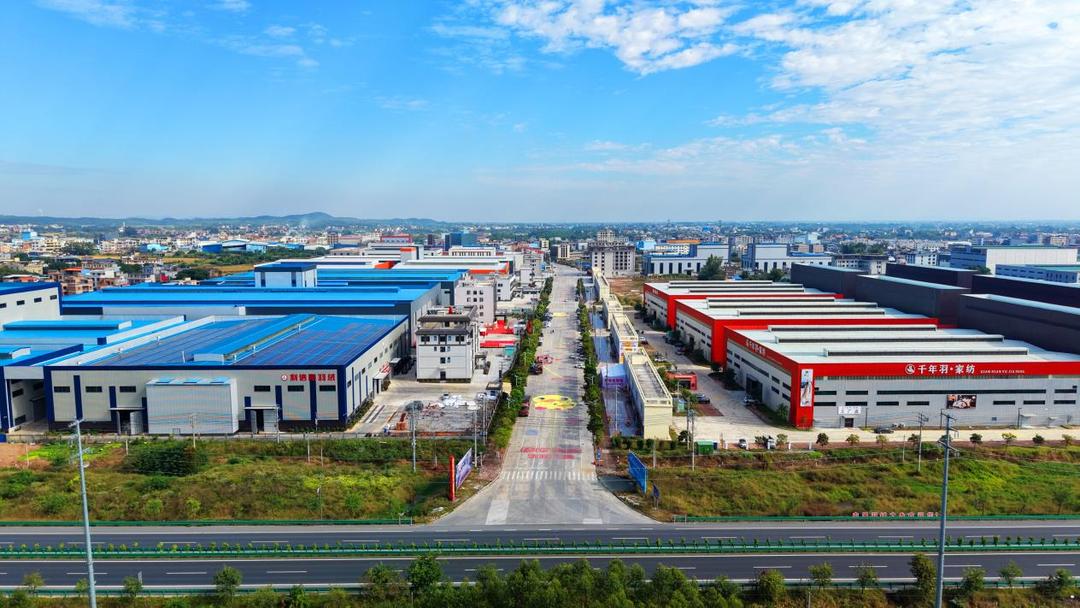 1、图为桥圩羽绒产业园鸟瞰图。港南区融媒体中心供图