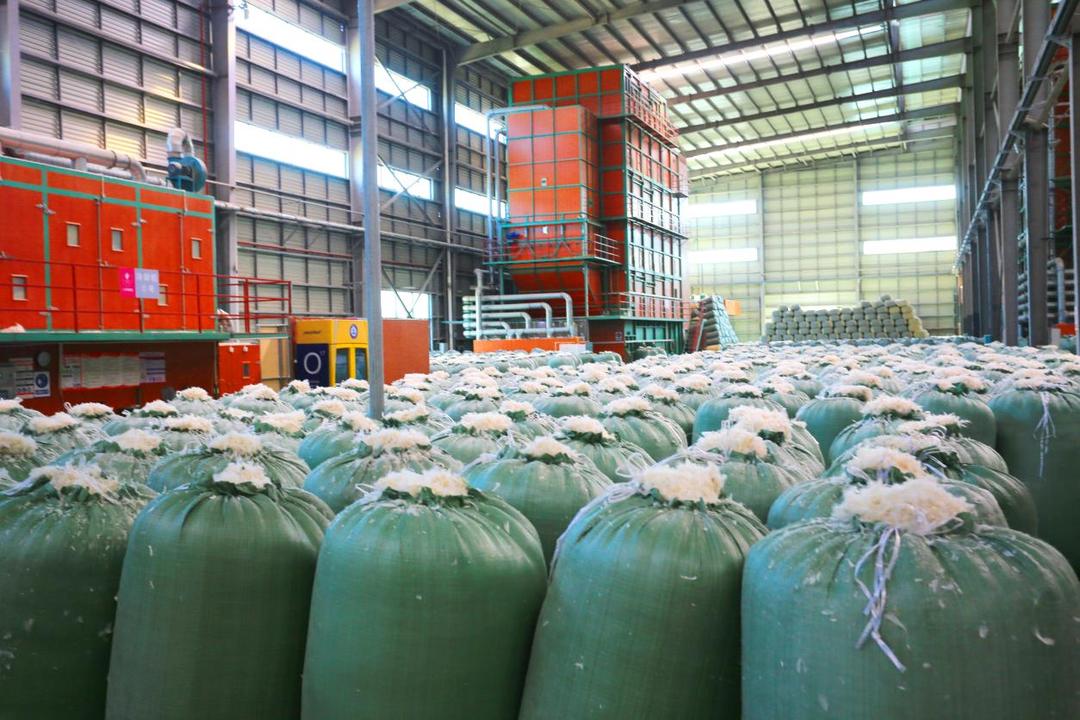 图为贵港市港南区羽绒生产车间。港南区融媒体中心供图