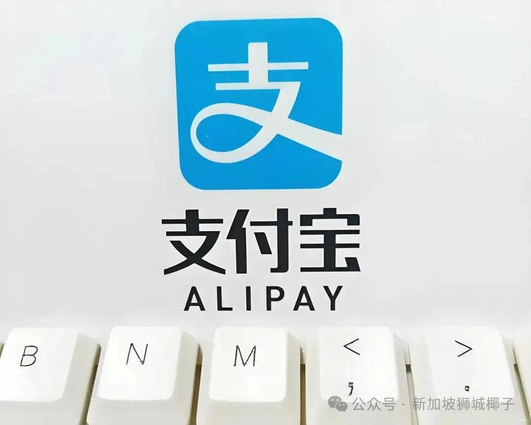 新加坡华侨银行官宣！直接用APP在中国也可以扫码支付了！_苏里南_新闻_华人头条