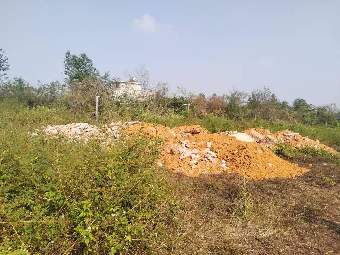 图片[6]-拆祖宅毁林地，山口村违法开发宅基地被叫停，14户村民安置成谜-华闻时空