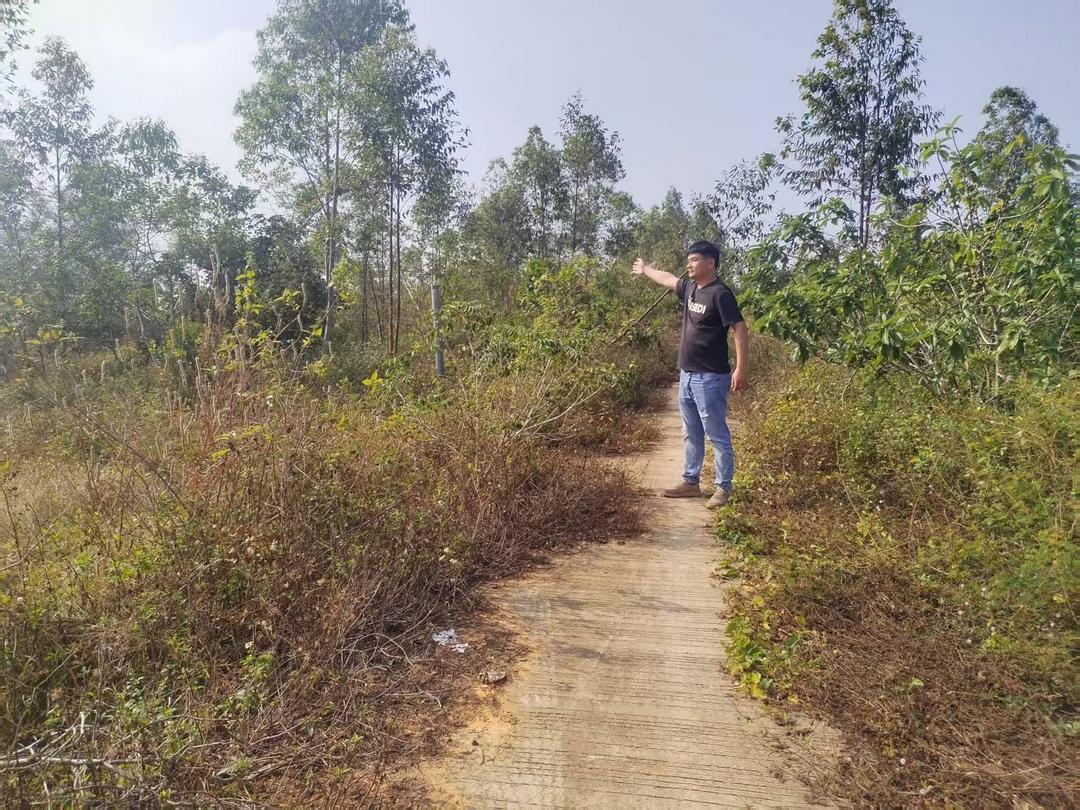 图片[5]-拆祖宅毁林地，山口村违法开发宅基地被叫停，14户村民安置成谜-华闻时空