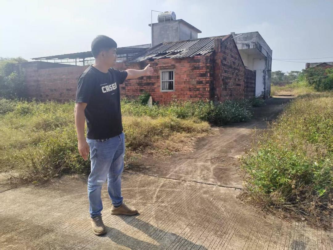 图片[4]-拆祖宅毁林地，山口村违法开发宅基地被叫停，14户村民安置成谜-华闻时空