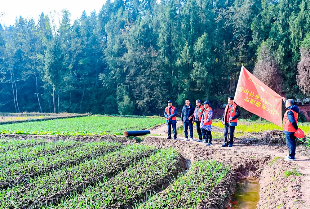 202512/120749054659694.jpg 202512/120749054659694.jpg