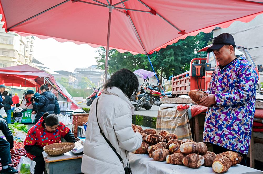 202512/120749044270679.jpg 202512/120749044270679.jpg