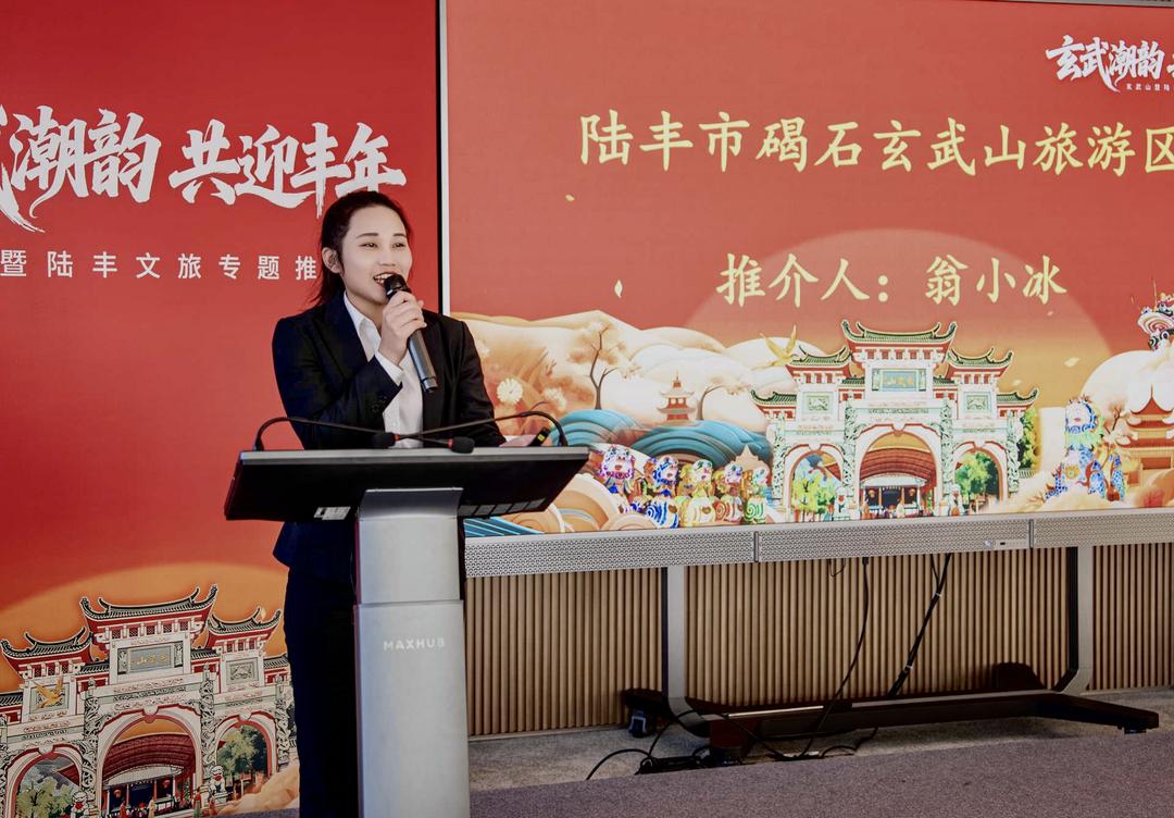 2025年陆丰文旅暨玄武山旅游区专题推介会深圳成功举办-华闻时空