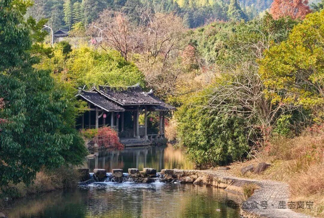 红红火火,周宁这里藏着最暖的冬色