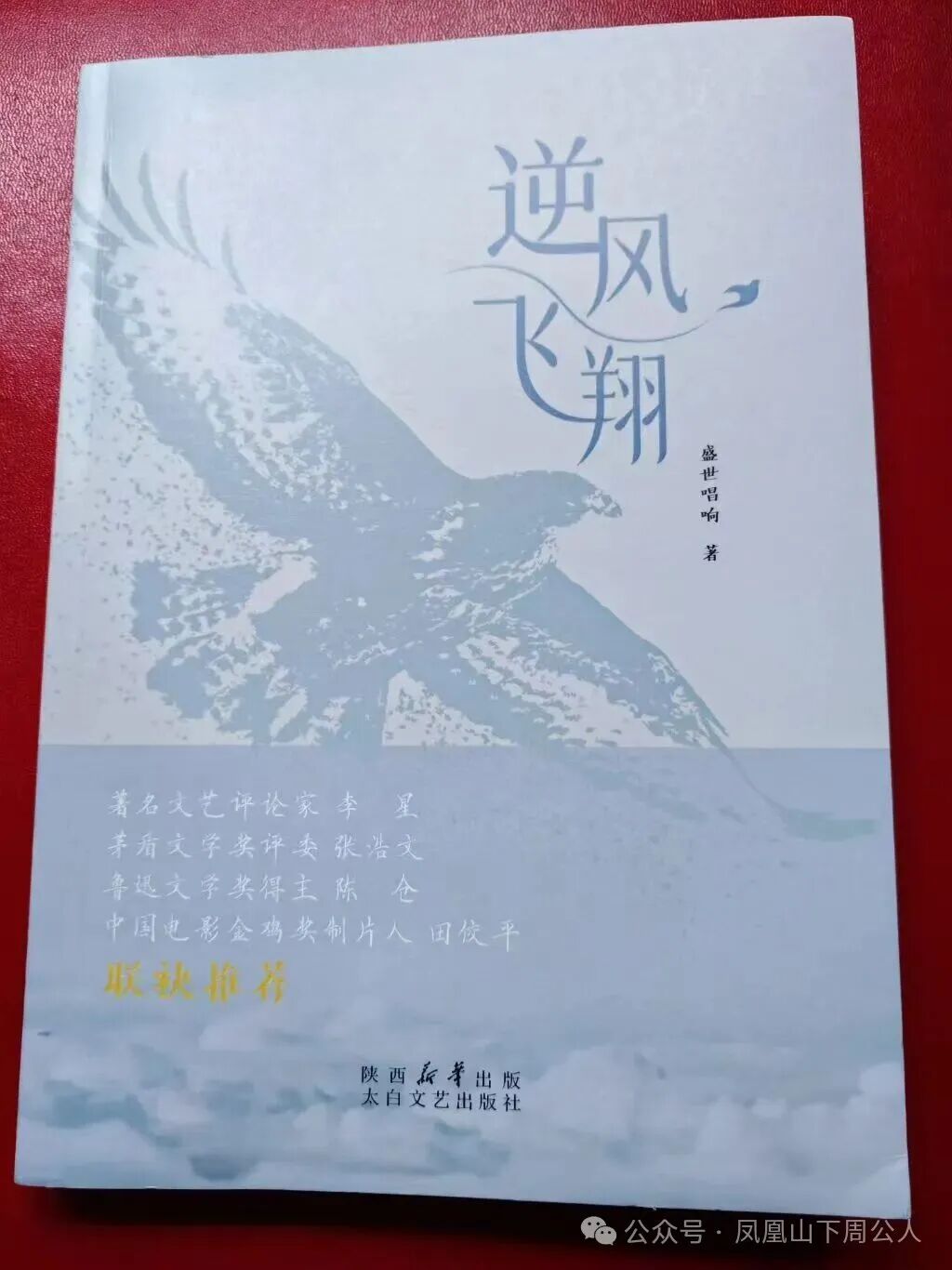 逆风飞翔》是一部当代热血青年追梦励志的长篇小说——陕西实力派青年作家刘俊锋新书读后_全球_新闻_华人头条, image size:1024x1366