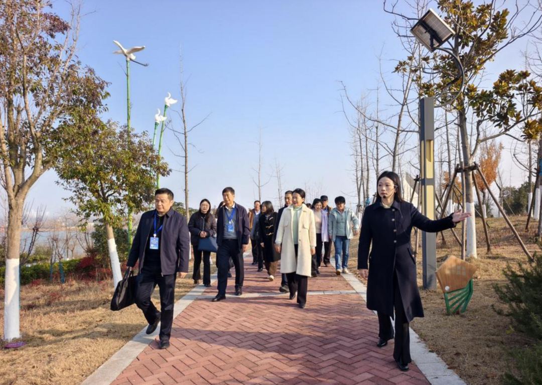 2025海外华文媒体安徽采访行走进淮北绿金湖-华闻时空