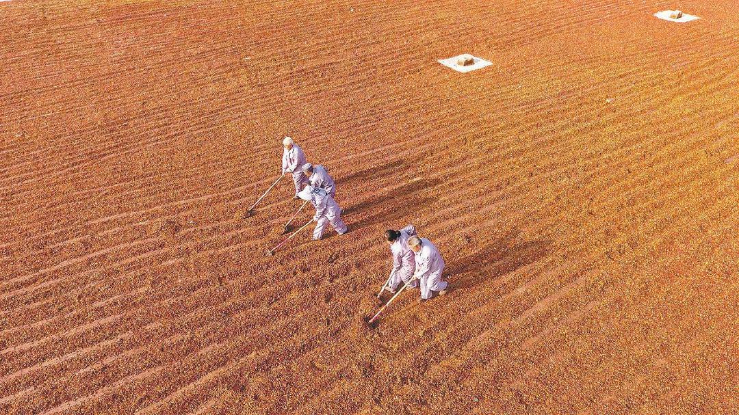 山海同心促协作 千里共绘振兴卷——“十四五”扬榆协作答卷·清涧篇