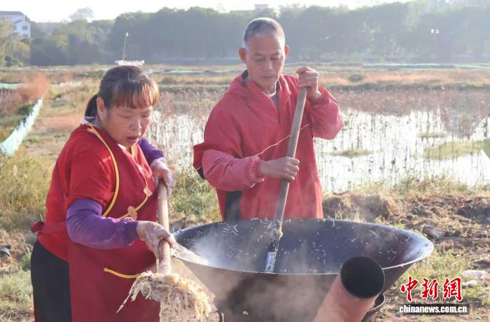 广东东源:冬至萝卜粄传递客家温情_丹佛_新闻_华人头条