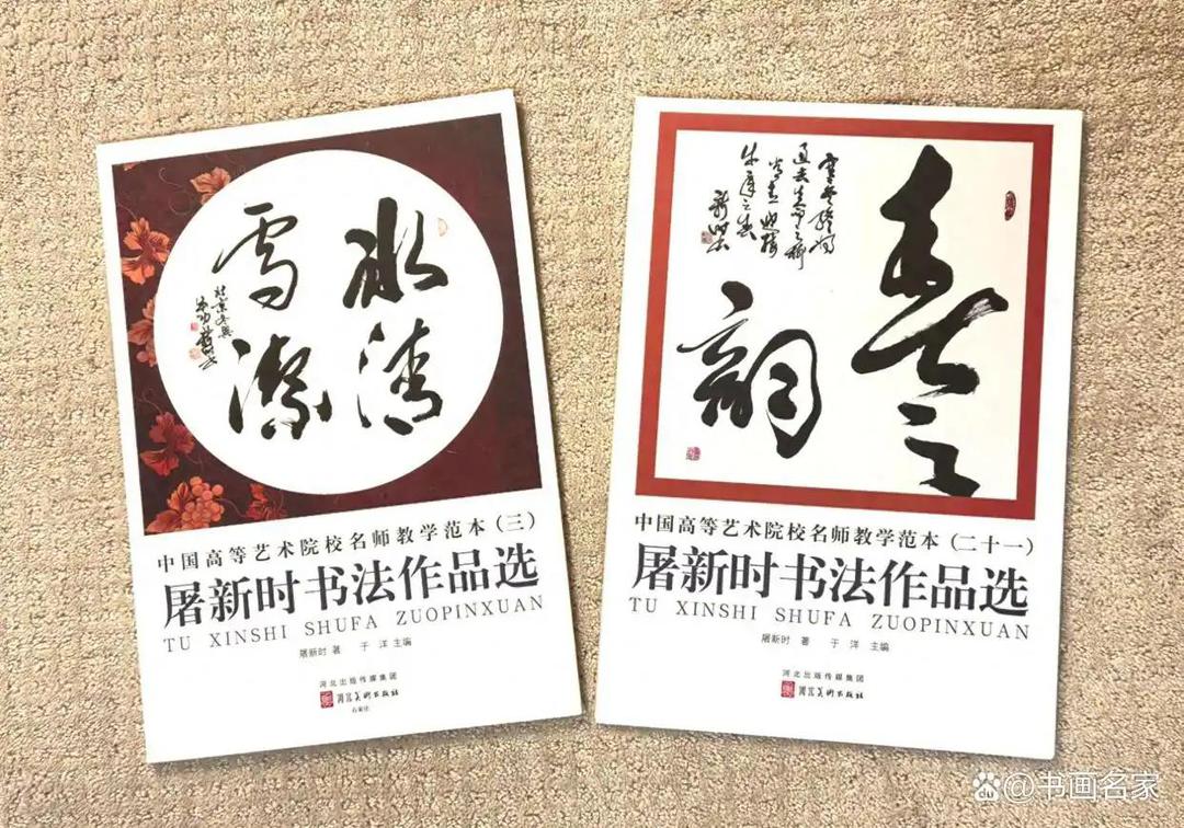 《屠新时书法作品集》由全国十家图书馆收藏入编-华闻时空