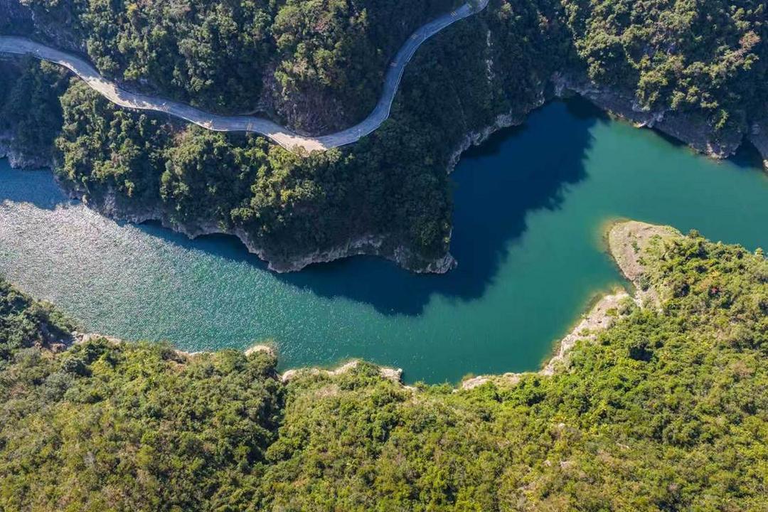 揭西苦笋省级现代农业产业园书写广东特色农业现代化答卷   -华闻时空