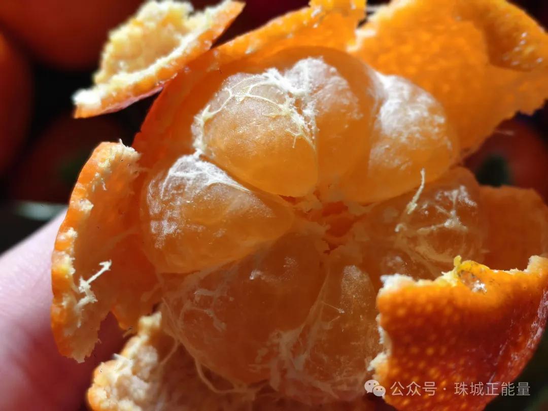 ����ů���µĽ���ʱ��