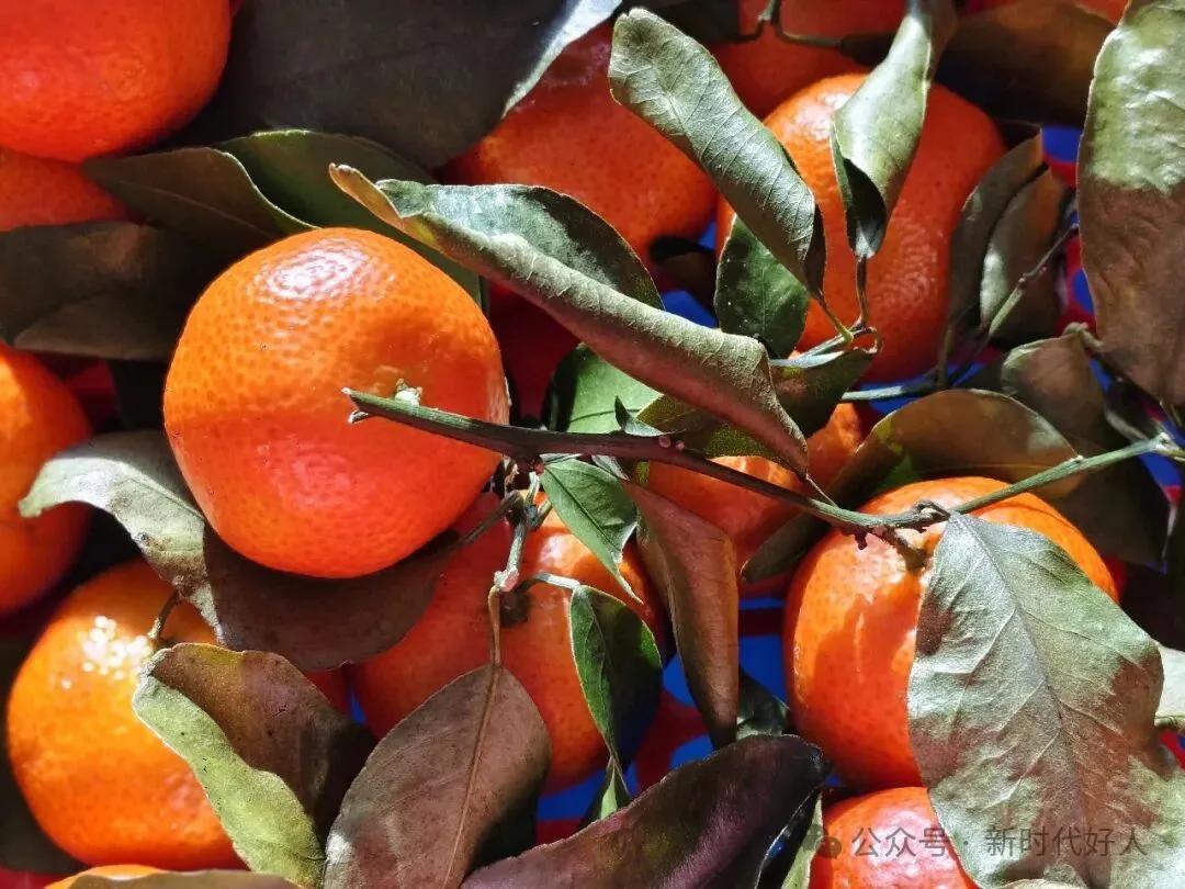 ɳ�ǽۣ����۵����˼��˰�