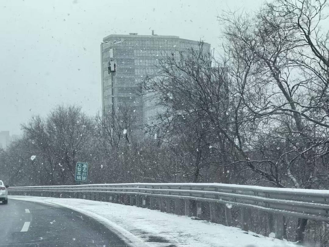 商成勇：《京城，雪梅花》-华闻时空