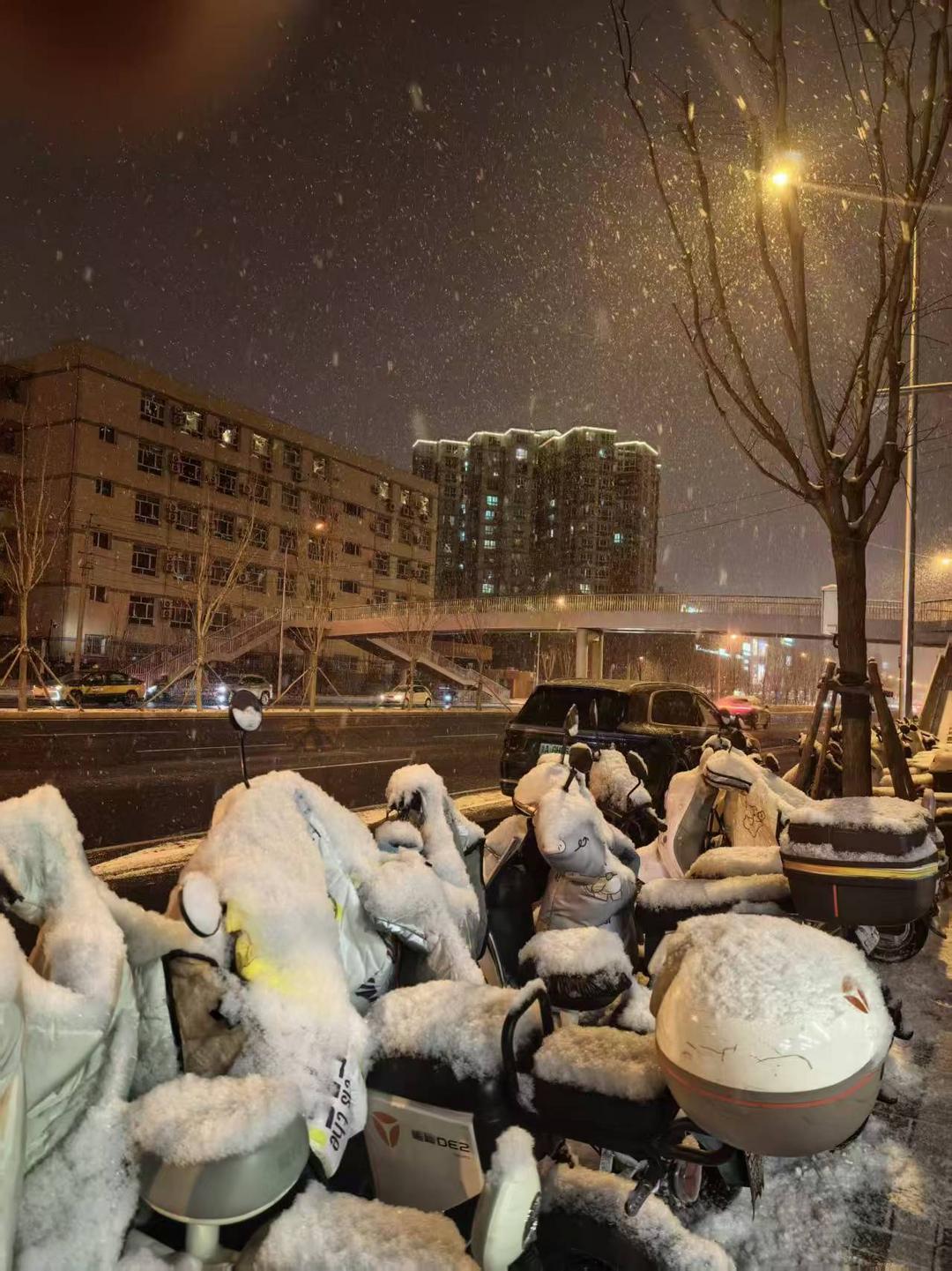 图片[3]-商成勇：《京城，雪梅花》-华闻时空