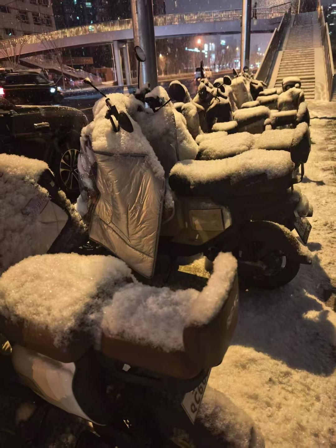 图片[4]-商成勇：《京城，雪梅花》-华闻时空