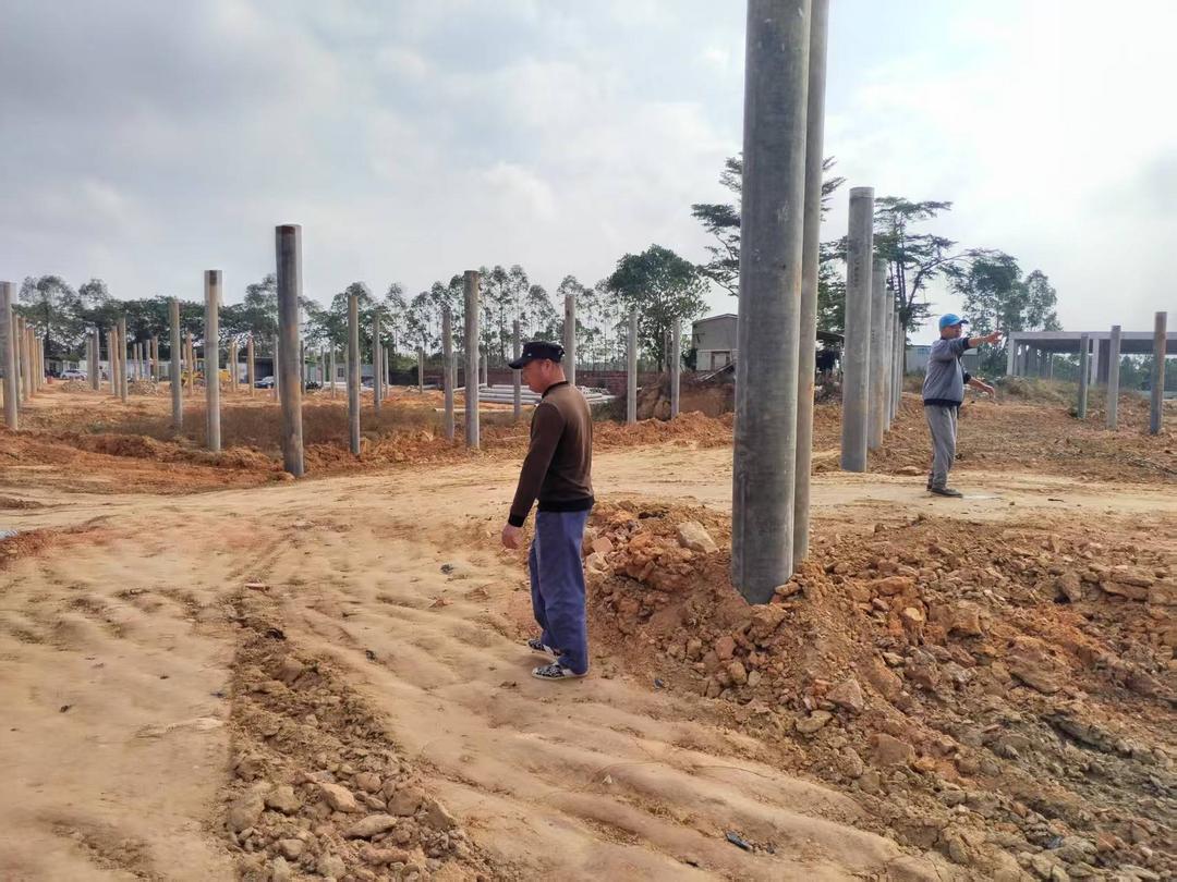 图片[3]-雷州百亩土地承包疑云：合同“变脸”，村民追问“租地黑洞”-华闻时空