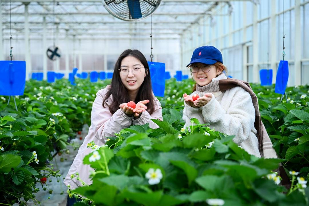 611482d8bc11b10e8b1c9e66f7d25f40