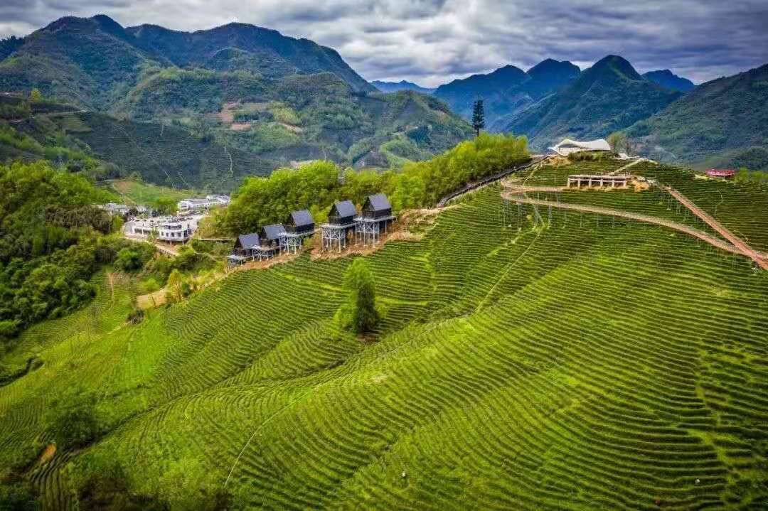 <a href=https://www.shidiannet.com/zt/shaanxi/ target=_blank class=infotextkey>陕西</a>交控服务管理集团午子山服务区景色优美如画中