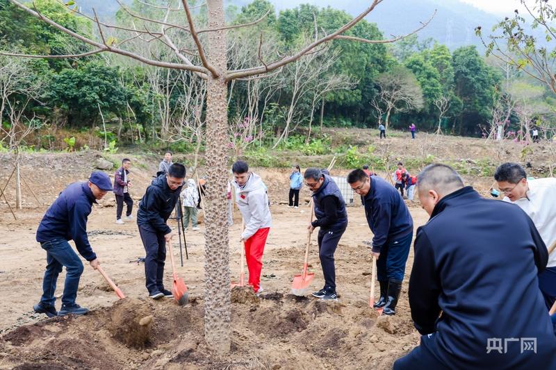 奥运冠军领衔植绿！广东肇庆300多名网友为南粤再添新绿-华闻时空