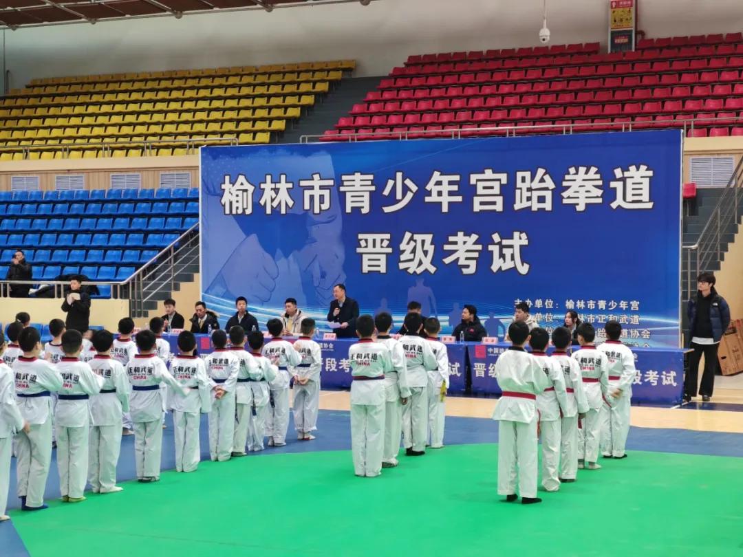 由榆林市青少年宫主办的跆拳道晋级考试现场