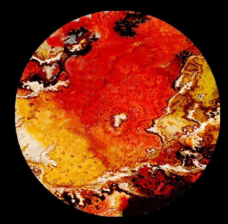 图片[5]-票友——卢清漆艺术作品展即将在福州三坊七巷开展-华闻时空